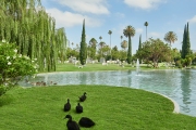 010-Hollywood-Forever-Cemetery